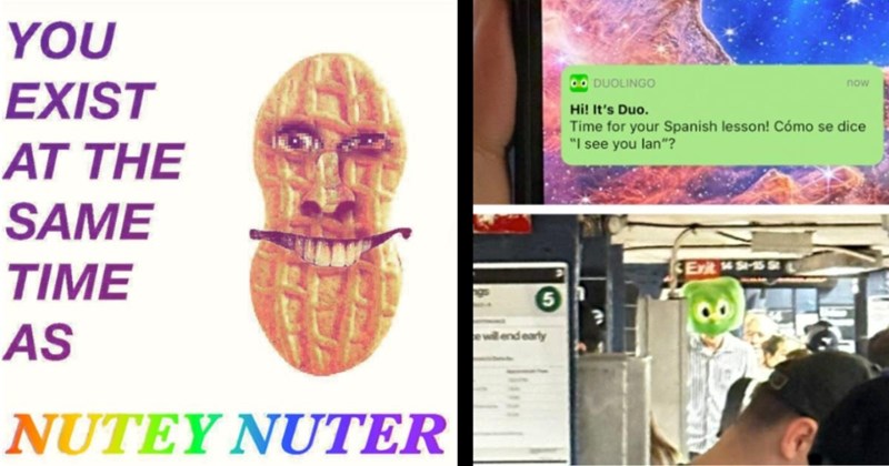 advertising marketing market ad ads targeted meme memes memeifying marketing-memes cringe nutter-butter duolingo society gen x gen z generations millennials gunny lol interesting hot take