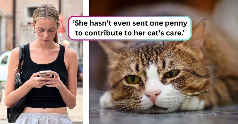 30 text pictures, 1 cat picture, 1 woman picture | thumbnail includes one picture of a cat, one picture of a woman, and ‘She hasn't even sent one penny to contribute to her cat's care.’