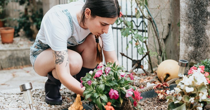 HOA uproots 19-year-old's decade-old plants without warning, he considers suing them: 'I'll see what I can do to get my plants back'