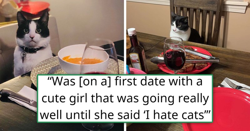 viral thread about two women going on a date and breaking it off because one of them doesn't like cats | thumbnail includes two pictures of cats at tables with wine on them looking like they're on dates 'was on a first date with a cute girl that was going really well until she said "I hate cats"'