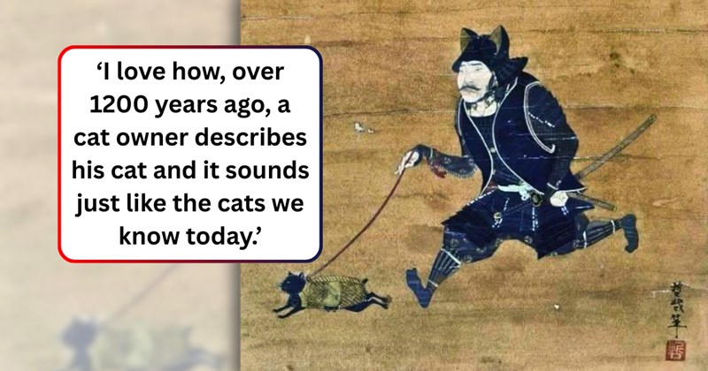 34 text pictures, 7 japanese art of cats | thumbnail includes one japanese art of a cat, and 'I love how, over 1200 years ago, a cat owner describes his cat and it sounds just like the cats we know today.'