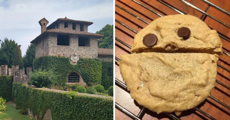 pareidolia phenomenon, faces in objects, seeing faces, pattern perception, psychological pareidolia, pareidolia in nature, facial pattern illusions, inanimate object faces, pareidolia examples