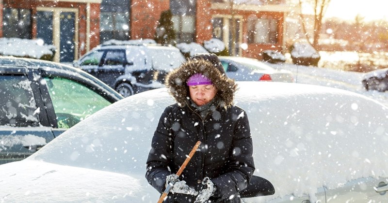 snow entitled people karma karens in the wild horses funny karen entitled people Entitled People - 44491269