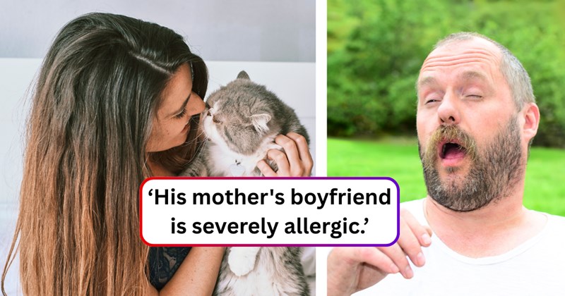 24 text pictures, 3 woman and cat pictures, 2 man pictures | thumbnail includes one picture of a woman and a cat, one picture of a man, and ‘His mother's boyfriend is severely allergic.’