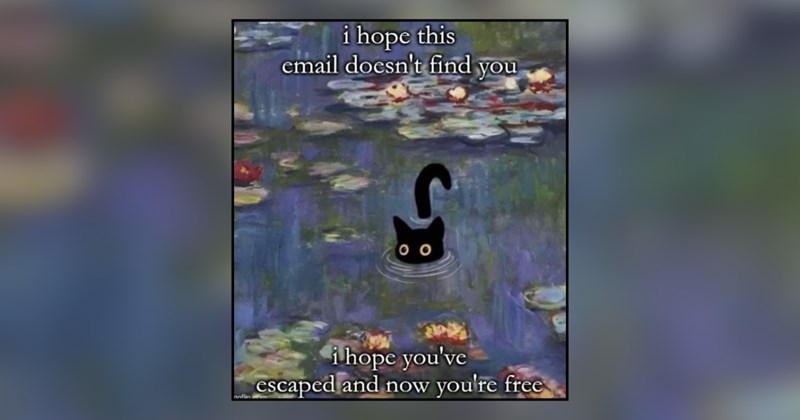 21 cat memes | thumbnail includes one meme and one picture of text including 'i hope this email doesn't find you i hope you've escaped and now you're free' 
