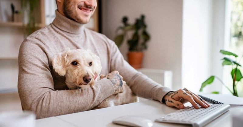 aita pets kids teenagers moms parenting dad cute kids reddit thread parent Reddit pet sitting raising kids farm animals Parenting Fail animals parents children Parenting FAILS Family - 42788613