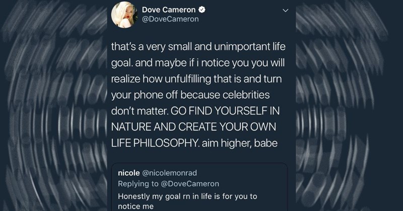 stanning, celebrity news, twitter, online, hot takes, stan culture, twitter reactions, online culture, hot take, celeb, stan, celebrity twitter, twitter discourse, timothee chalamet