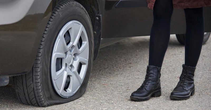 Resident puts spikes on their yard after entitled neighbor refuses to stop driving over their flower garden, costing neighbor two flat tires: ‘She deserved it’