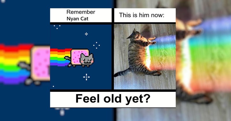 relatable memes random random memes dumb memes funny memes Memes funny Funny Memes - 43900677