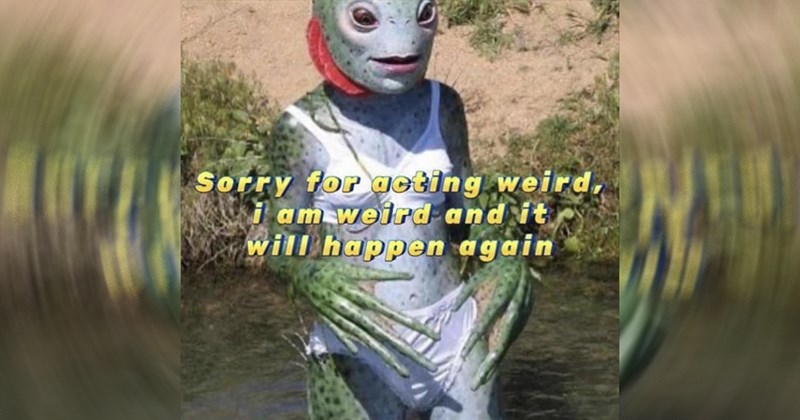 relatable memes random random memes funny memes Memes funny Funny Memes - 43867909