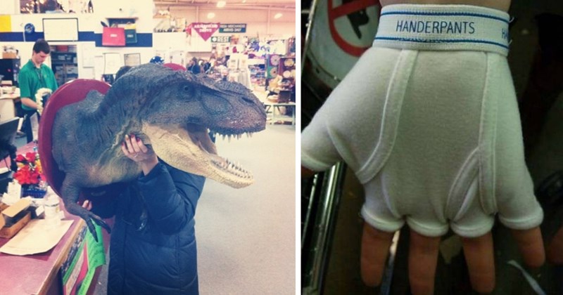 weird thrift finds funny thrift store discoveries odd secondhand items bizarre thrift shopping strange flea market finds thrift store humor thrift store photos weird items found thrifting