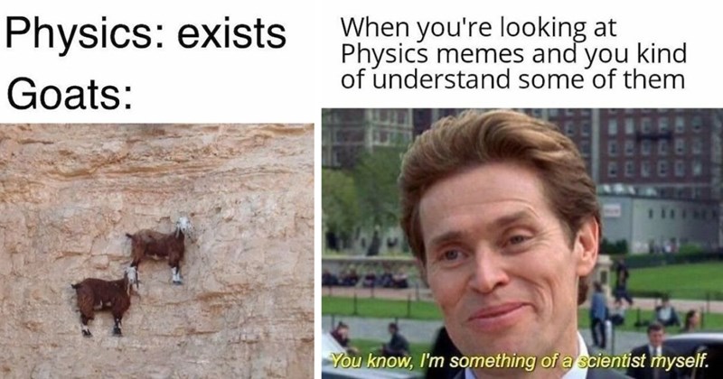 physics memes, funny science memes, quantum mechanics humor, relativity jokes, nerdy memes, science jokes, physics jokes, subatomic particle memes, funny physics images, STEM humor, physics student memes, educational memes, physics jokes for nerds, science class humor, science meme collection