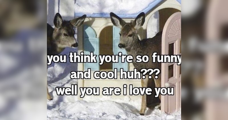 The Best Heartwarmingly Wholesome Memes and Posts of the Week (September 25, 2025)