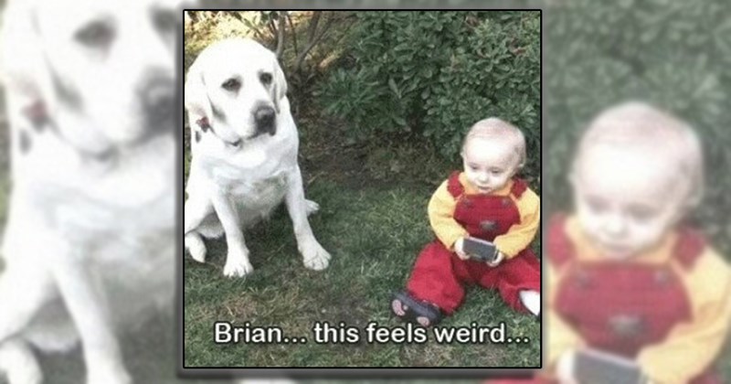 'All the things that make us laugh and cry!': Family Guy posts for the fandom that goes beyond Peter Griffin