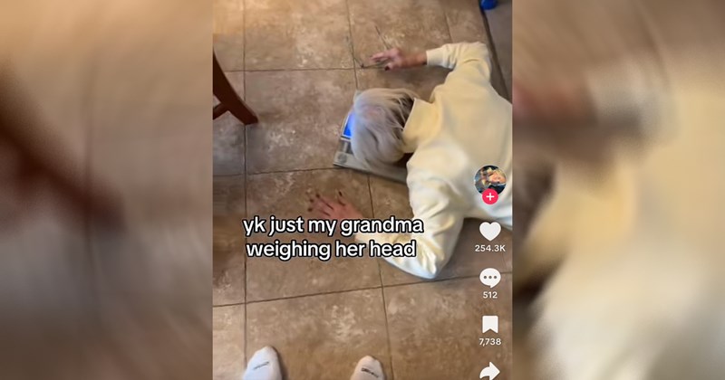 tiktoks, tiktok, tiktoker, viral tiktok, social media, cringe, stupid people, crazy people, gen z, screenshots, funny, funny screenshots