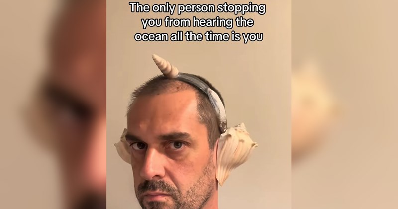 tiktoks, tiktok, tiktoker, viral tiktok, social media, gen z, cringe, stupid people, crazy people, screenshots, funny, funny screenshots