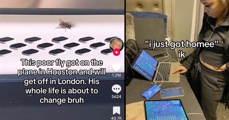 tiktoks, tiktoks, viral tiktok, tiktoker, cringe, stupid people, crazy people, social media, funny, screenshots, funny screenshots, gen z