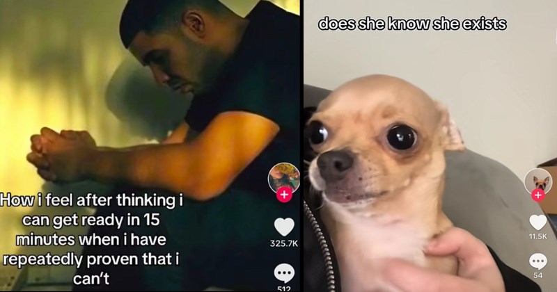 tiktoks, tiktok, viral tiktok, tiktoker, social media, screenshots, funny, funny screenshots, cringe, gen z, stupid people, crazy people