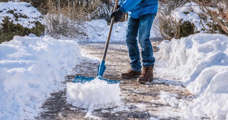 Neighbor shovels snow from elderly resident's driveway every morning, decides to confront other neighbors for not offering to help too: ‘How would you feel if she was your mother?’