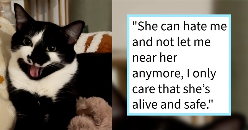 Pawrent leaves cats mom while vacation, comes back one cat hiding walls, 3 days later cat safe out wall, pawrent says: ‘It took lot of hissing scratching her part but got her she’s safe in her carrier cage.’ | thumbnail includes one image which shows a black and white cat with mouth open tongue out ‘“She can hate me and not let me near her anymore, I only care that she’s alive and safe.”’