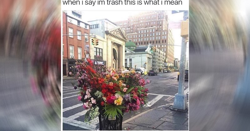 wholesome memes, wholesome, nice, good, positivity, tweets, animals, animal memes, cats, dogs, family, relationships, friendship, love, memes, funny, funny memes