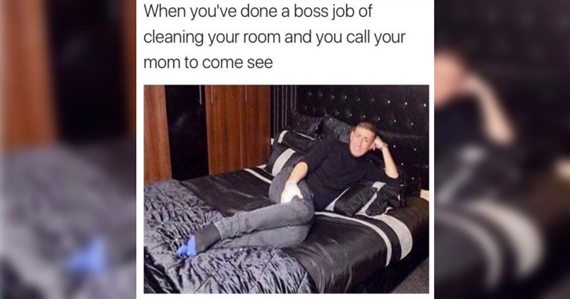 wholesome memes, wholesome, positivity, nice, good, tweets, animals, animal memes, cats, dogs, friendship, love, family, relationships, memes, funny, funny memes