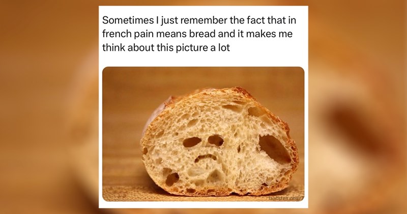 funny random memes autumn relatable memes work memes bread memes dog memes random memes silly memes funny memes dank memes Memes twitter memes meme bread silly funny tweets food animal memes funny cat memes Funny Memes - 43186949