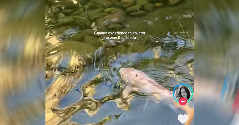 funny screenshots viral tiktok cringe tiktoker social media gen z funny tiktok Chronically Online - 43827461