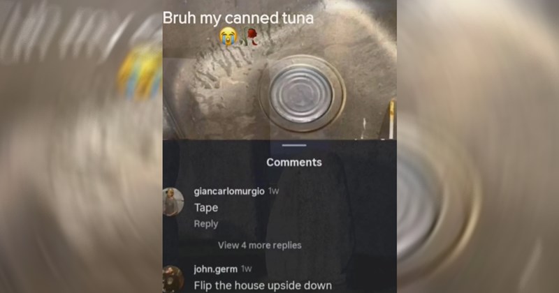 tiktoks, tiktok, tiktoker, viral tiktok, social media, gen z, stupid people, crazy people, funny, screenshots, funny screenshots