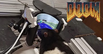 Rats Are Playing Doom Now and Honestly It Checks Out