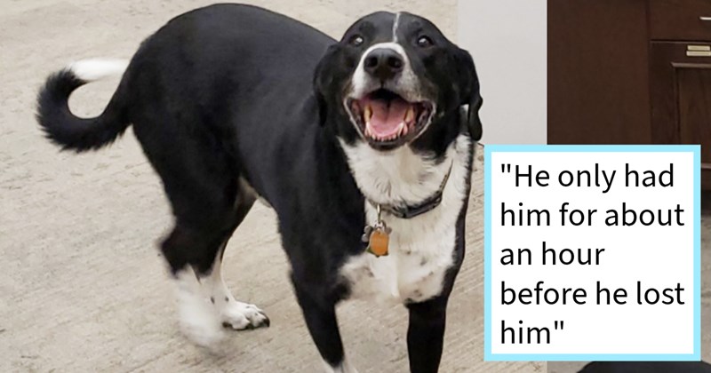 Lost dog helps pizza parlor employee become hero when team up find dog’s pawrent, resulting heartwarming reunion down by docks, rescuer says: ‘If lost my dog would want someone out of their way get him back me’ | thumbnail includes one image which shows a smiling black and white dog ‘“He only had him for about an hour before he lost him”’