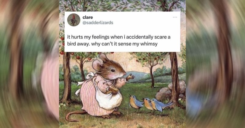  nature cottage core cute animal memes funny memes critters wholesome animals animal memes cottagecore wholesome animal memes animals nature memes funny meme