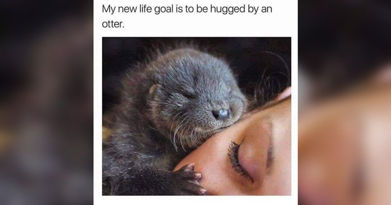 wholesome funny memes Memes nice good wholesome memes funny positivity Funny Memes - 44264965