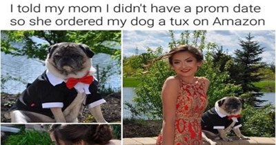 17 Wholesome Memes & Tweets To Start The Week Off Right