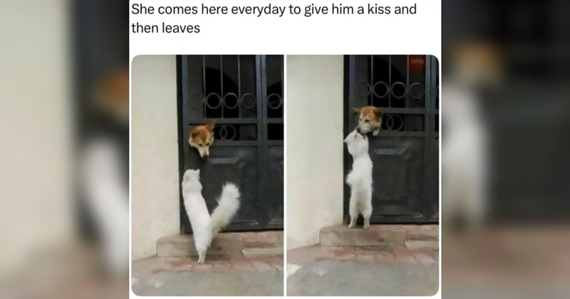 wholesome wholesome memes Funny Memes - 44180229